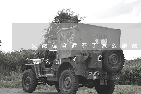 欠微粒貸還不了怎么辦(微粒貸實在還不了了怎么辦)