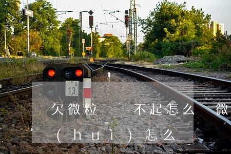 欠微粒貸還不起怎么辦(微粒貸欠款還不了會(huì)怎么辦)