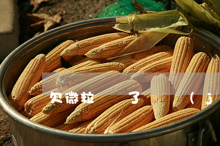 欠微粒貸還了會凍結(jié)銀行卡嗎