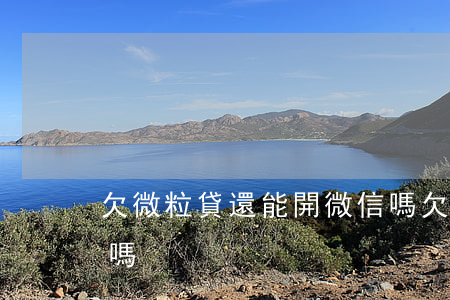 欠微粒貸還能開微信嗎(欠微粒貸還能開微信嗎)