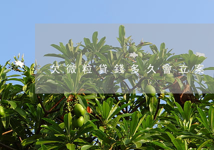 欠微粒貸錢多久會立案