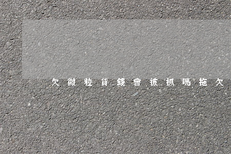 欠微粒貸錢會被抓嗎(拖欠微粒貸會怎么樣)