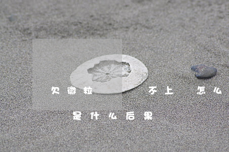 欠微粒貸錢還不上會怎么樣(欠微粒貸還不上會是什么后果)