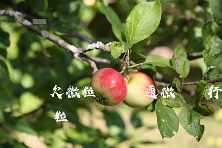 欠微粒貸錢開通微眾銀行(微眾銀行存錢開微粒貸)