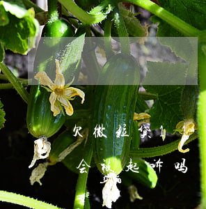 欠微粒贷11万会起诉吗(微粒贷欠款几千块会被起诉吗)