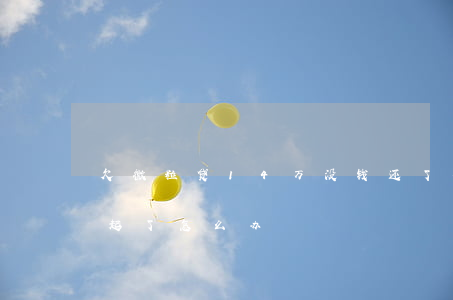 欠微粒贷14万没钱还了(微粒贷15万还不起了怎么办)