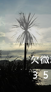 欠微粒贷18000的图片(微粒贷图片截图3500)