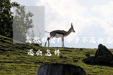 欠微粒贷1万多不还会怎样(微粒贷一千多没还会怎样)