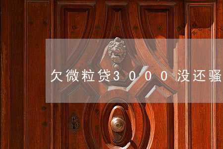 欠微粒贷3000没还骚扰家人-