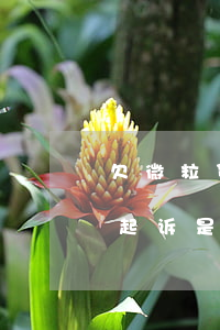 欠微粒贷3万元判多少(微粒贷欠三千五说要起诉是真的吗)