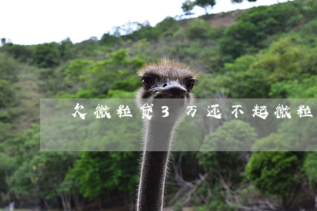 欠微粒贷3万还不起(微粒贷欠4万多3年了)