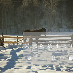 欠微粒贷4500逾期一年怎么办-欠微粒贷4500逾期一年怎么办呢