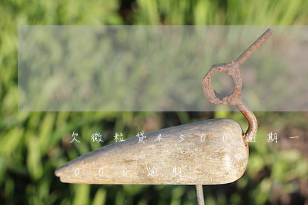 欠微粒贷4500逾期一年怎么办(微粒贷5000逾期)