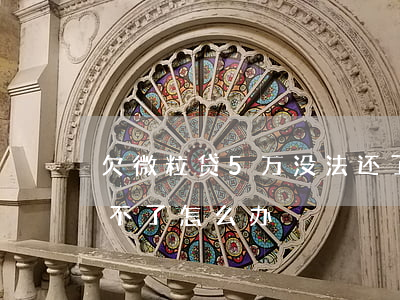 欠微粒贷5万没法还了(微粒贷欠款5万多还不了怎么办)