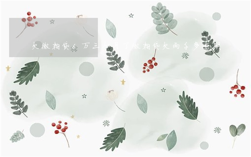 欠微粒贷6万三个月了(微粒贷欠两千多逾期)