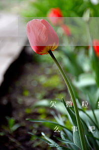 欠微粒贷6万两年没还了(微粒贷欠6天没什么事吧)