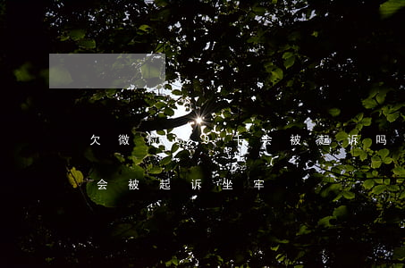 欠微粒贷9千会被起诉吗(微粒贷欠8万,会不会被起诉坐牢)
