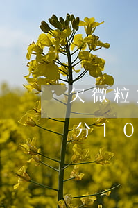 欠微粒贷一万块钱分十二期还(微粒贷借2万分10期每月还多少钱)