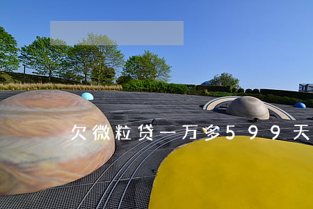 欠微粒贷一万多599天(微粒贷欠6万)