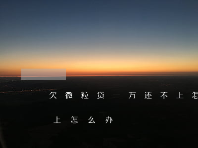欠微粒贷一万还不上怎么办(如果微粒贷还不上怎么办)