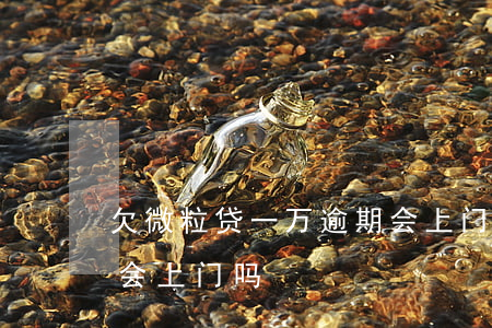 欠微粒贷一万逾期会上门吗(微粒贷逾期1万会上门吗)