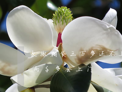 欠微粒贷三万多还不上会找上门吗(微粒贷欠两千多会上门)