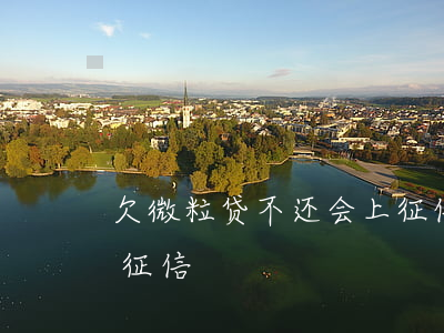 欠微粒贷不还会上征信吗(微粒贷到底上不上征信)