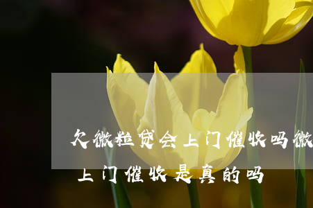 欠微粒贷会上门催收吗(微粒贷没能力还说要上门催收是真的吗?)