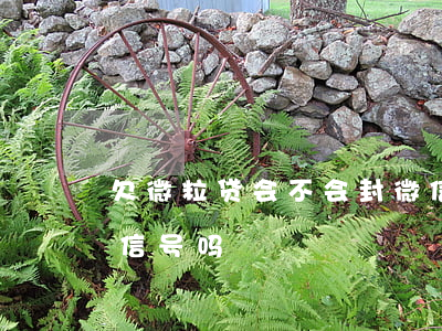 欠微粒贷会不会封微信公众号(微粒贷会封微信号吗)