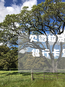 欠微粒贷会扣银行卡的钱吗(微粒贷会扣其他银行卡里钱吗?)