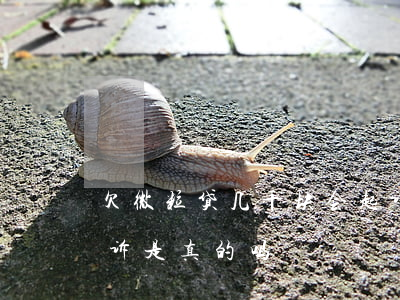 欠微粒贷几千块会起诉吗(微粒贷欠一万多起诉是真的吗)
