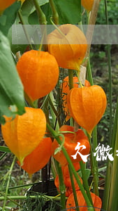 欠微粒贷几百块(微粒贷欠了几千)