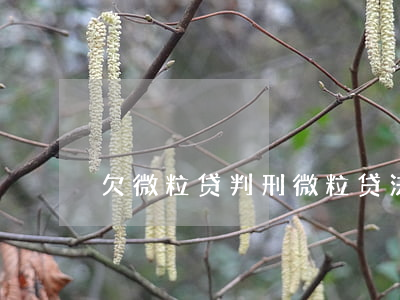 欠微粒贷判刑(微粒贷法院判决案例)