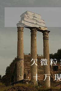 欠微粒贷十万现在没有能力还款-欠微粒贷十万现在没有能力还款怎么办
