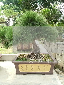 欠微粒贷后果(欠微粒贷不还会怎样)