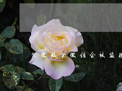 欠微粒贷微信会被监听吗
