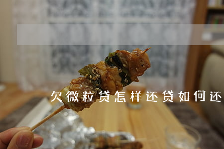 欠微粒贷怎样还贷(如何还微粒贷)