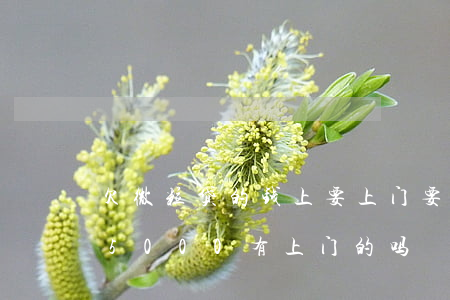 欠微粒贷的钱上要上门要回家吗(微粒贷欠15000有上门的吗)