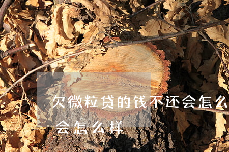 欠微粒贷的钱不还会怎么样(微粒贷借钱不还会怎么样)