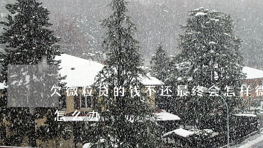 欠微粒贷的钱不还最终会怎样(微粒贷不还会怎么办)