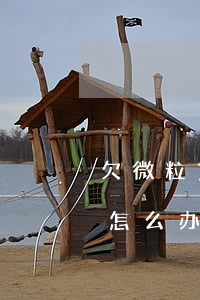 欠微粒贷的钱没还怎么办(借微粒贷没钱还了怎么办)