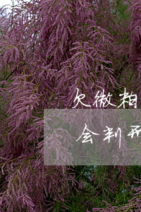 欠微粒贷的钱还不起能判刑吗(微粒贷还不了会判刑吗)