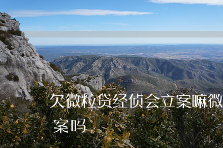 欠微粒贷经侦会立案嘛(微粒贷欠二万多会立案吗)