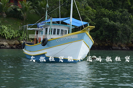 欠微粒贷能不还吗(微粒贷不还行吗)