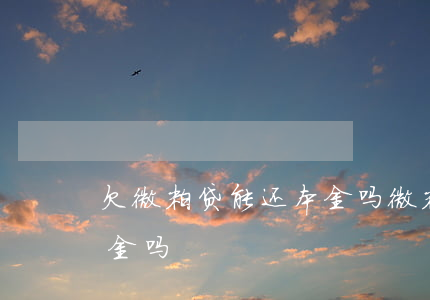 欠微粒贷能还本金吗(微粒贷可以申请只还本金吗)