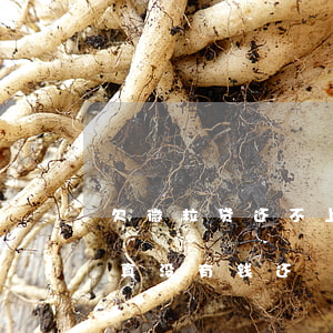 欠微粒贷还不上会上门(微粒贷要上门我现在真没有钱还)