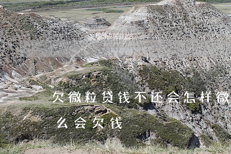 欠微粒贷钱不还会怎样(微粒贷没有贷款为什么会欠钱)