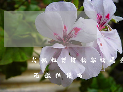 欠微粒贷钱放零钱通会被扣吗(零钱通能直接还微粒贷吗)
