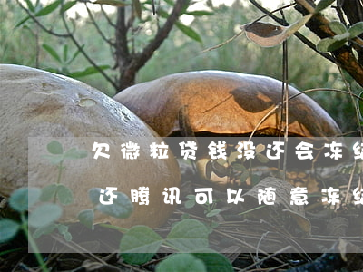 欠微粒贷钱没还会冻结微信吗(微粒贷欠钱没还腾讯可以随意冻结微信吗)