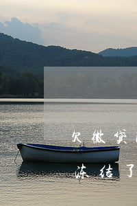 欠微贷网支付宝被冻结(欠网贷支付宝被司法冻结了)